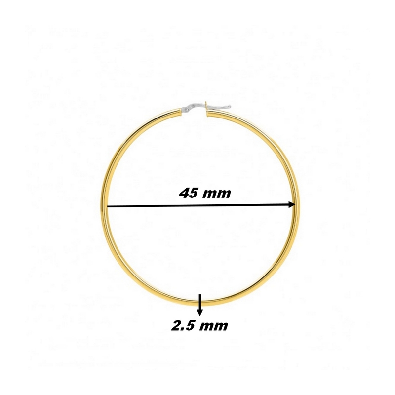 Boucles d’oreilles créoles Femme Or jaune 750/1000 ROBBEZ MASSON, dimensions