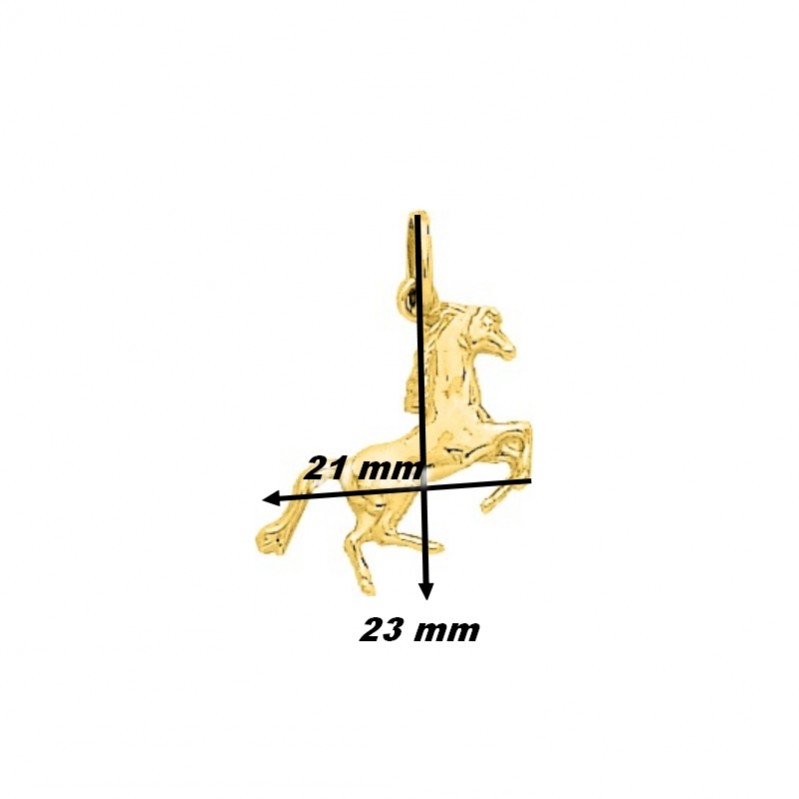 Pendentif Cheval Or jaune 750/1000 ROBBEZ MASSON, dimensions
