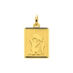 Pendentif Zodiaque Verseau Or jaune 750/1000 ROBBEZ MASSON