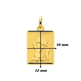 Pendentif Zodiaque Verseau Or jaune 750/1000 ROBBEZ MASSON, dimensions