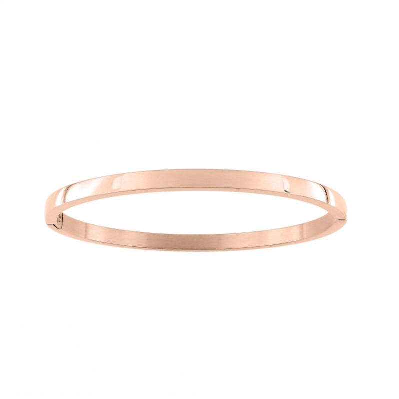bracelet-jonc-femme-acier-inoxydable-rose-robbez-masson-433691 Bracelet jonc ouvrant Femme Acier inoxydable rose ROBBEZ MASSON