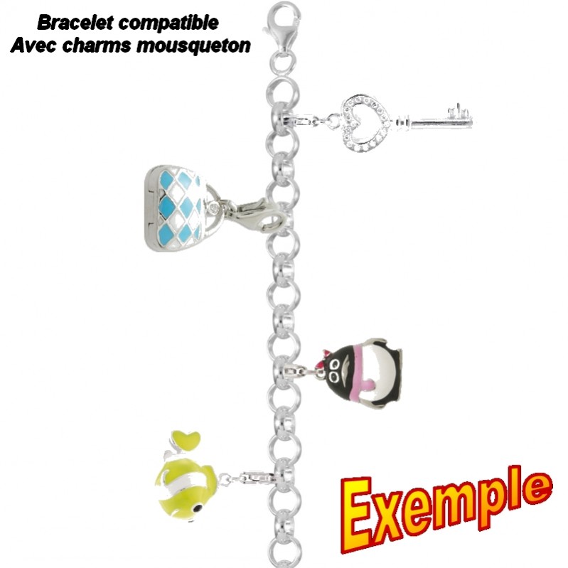 Charm Sac Argent 925/1000 ROBBEZ MASSON, démonstration