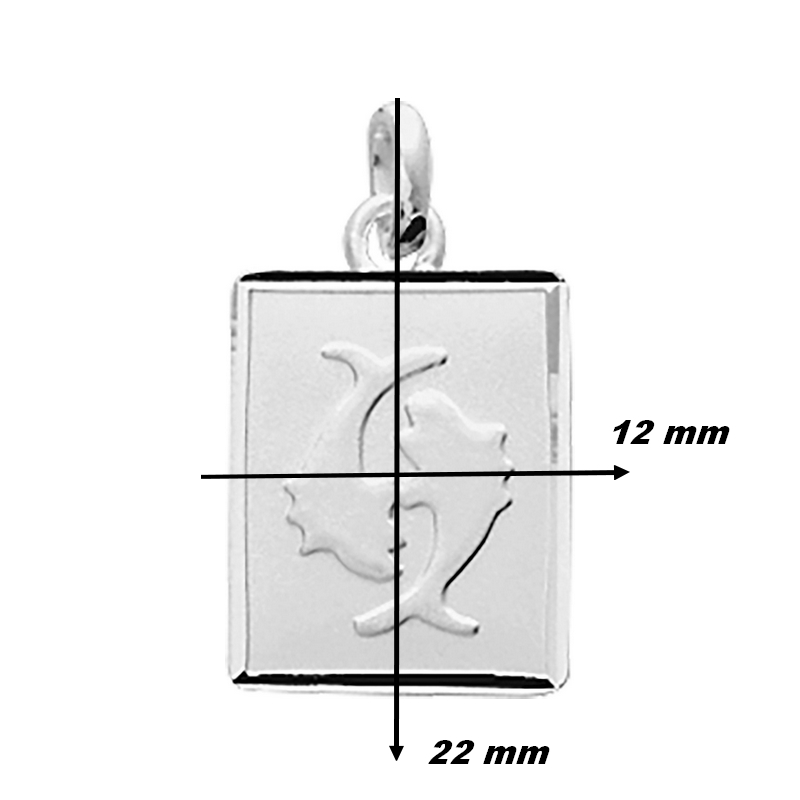 pendentif-zodiaque-Poisson-argent-rhodié-robbez-masson-206661-12-dimensions Pendentif Poisson Poisson Argent ROBBEZ MASSON, dimensions