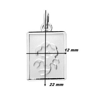 Pendentif Zodiaque Scorpion Argent ROBBEZ MASSON, dimensions