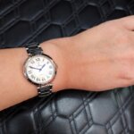 Montre Femme FESTINA Mademoiselle F16936/3 Acier portée