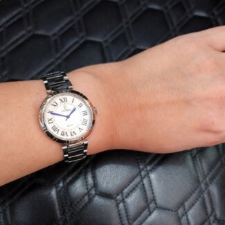 Montre Femme FESTINA Mademoiselle F16936/3 Acier portée