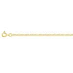 Chaîne Homme maille cheval or jaune 2 mm