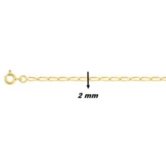 Chaîne Homme maille cheval or jaune 2 mm, largeur