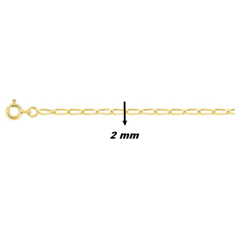 Chaîne Homme maille cheval or jaune 2 mm, largeur